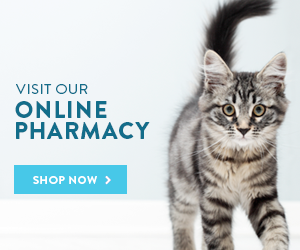 Pet order online best sale